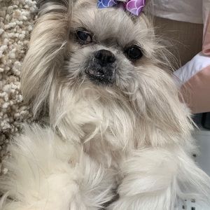 Meet your Posher, Duda